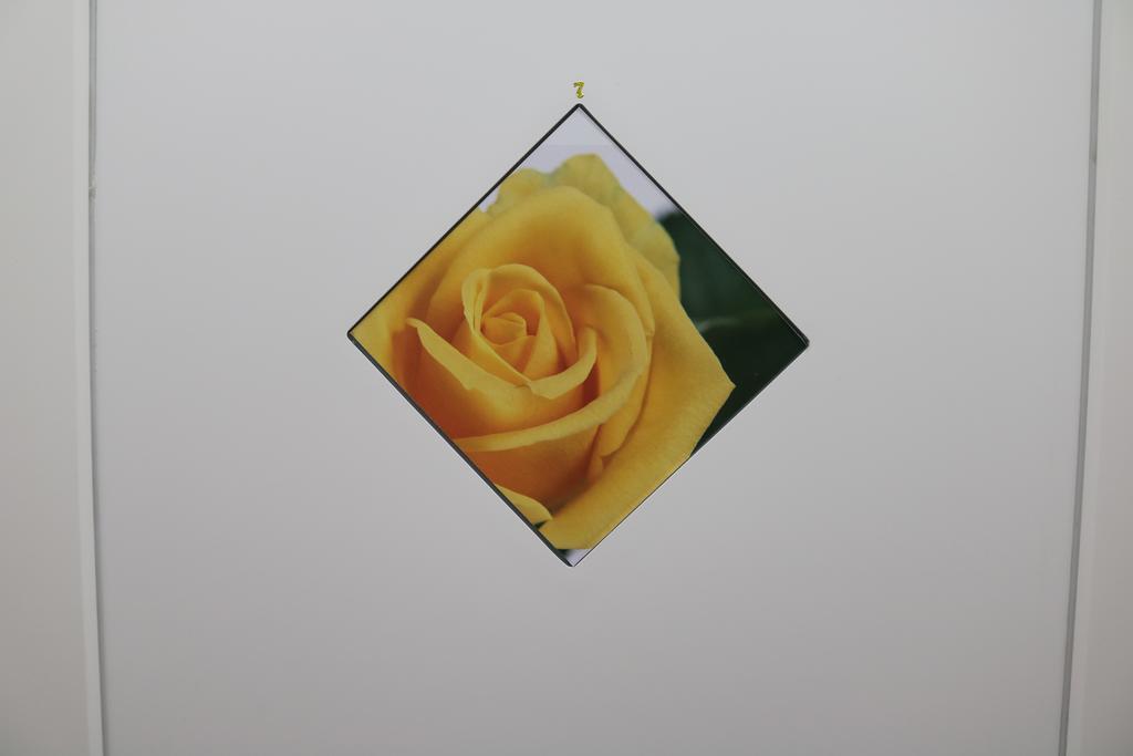 Le Tre Rose Bed & Breakfast カザマッシマ エクステリア 写真